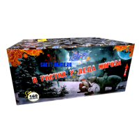 В гостях у деда Мороза